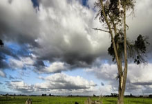 江苏队大胜对手，展现出色实力