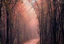 九游娱乐官网登录网址-全球球队备战国际比赛，冲刺赛场荣耀，全球队员