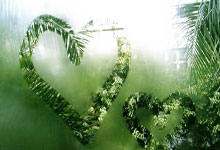 九游娱乐中国官网-世界杯热门球队取得连胜，实力备受瞩目，世界杯球队人气榜