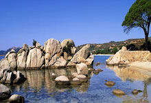 九游娱乐竞技-科隆新签约球员助球队轻松取胜，精彩表现赢得球迷热烈掌声，科隆球队图片