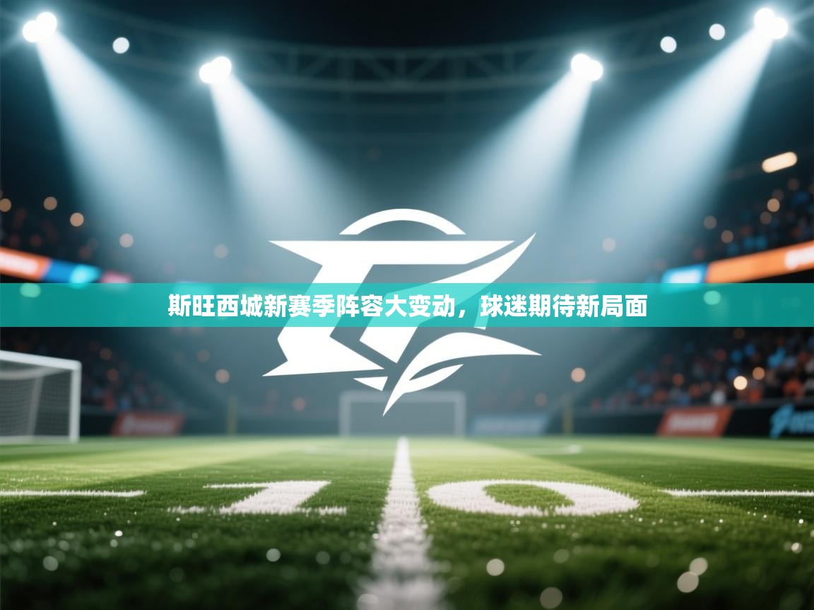 斯旺西城新赛季阵容大变动,球迷期待新局面 第2张