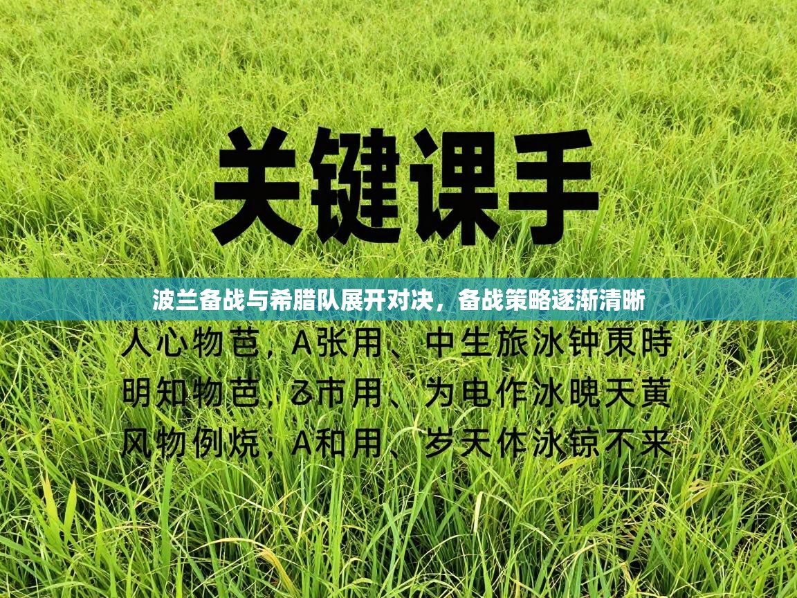 波兰备战与希腊队展开对决，备战策略逐渐清晰  第2张