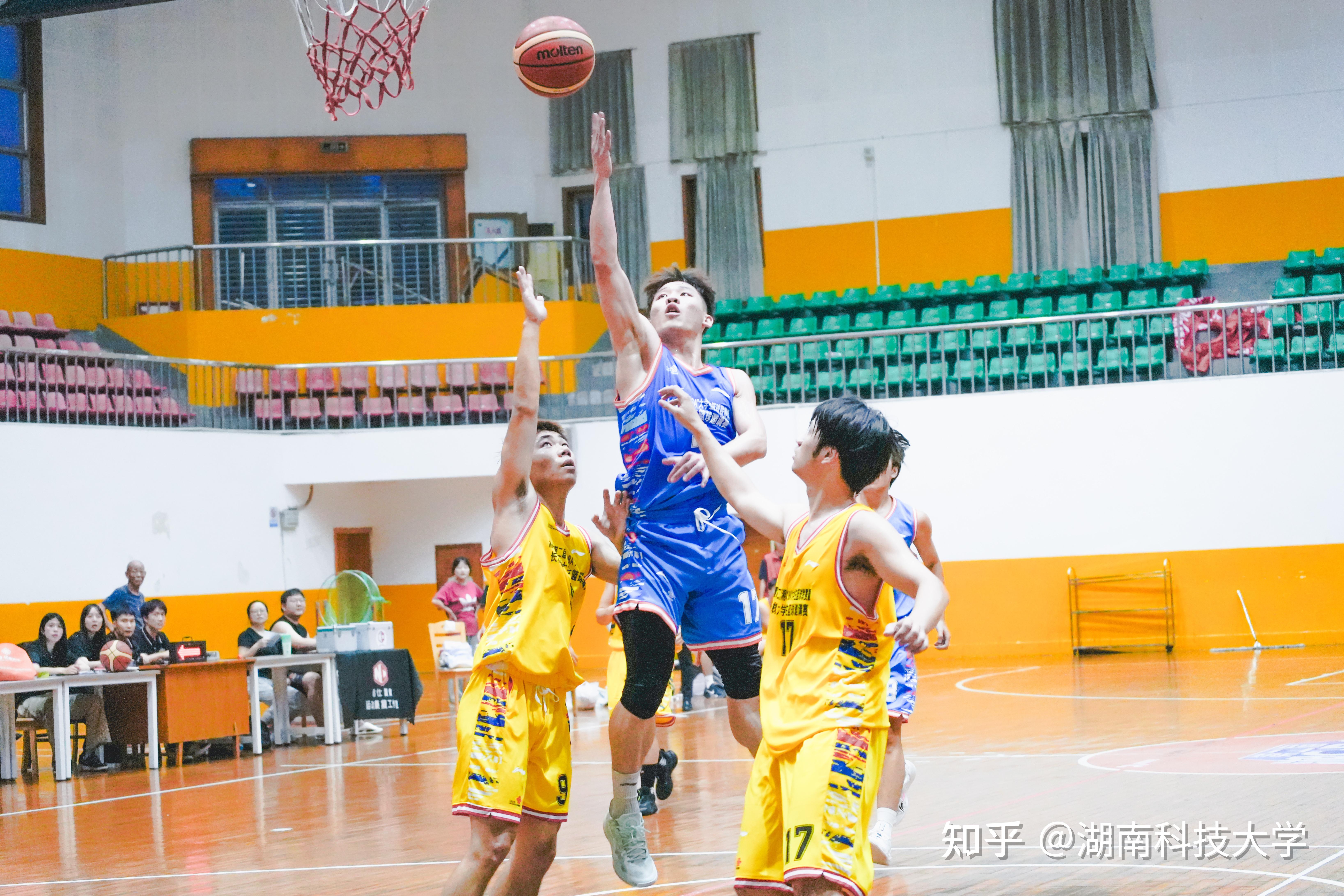 球场之上精彩绝伦，分的拼搏之梦的简单介绍