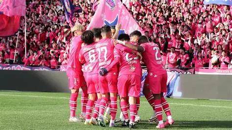 大阪樱花负于对手，惨遭亚冠淘汰