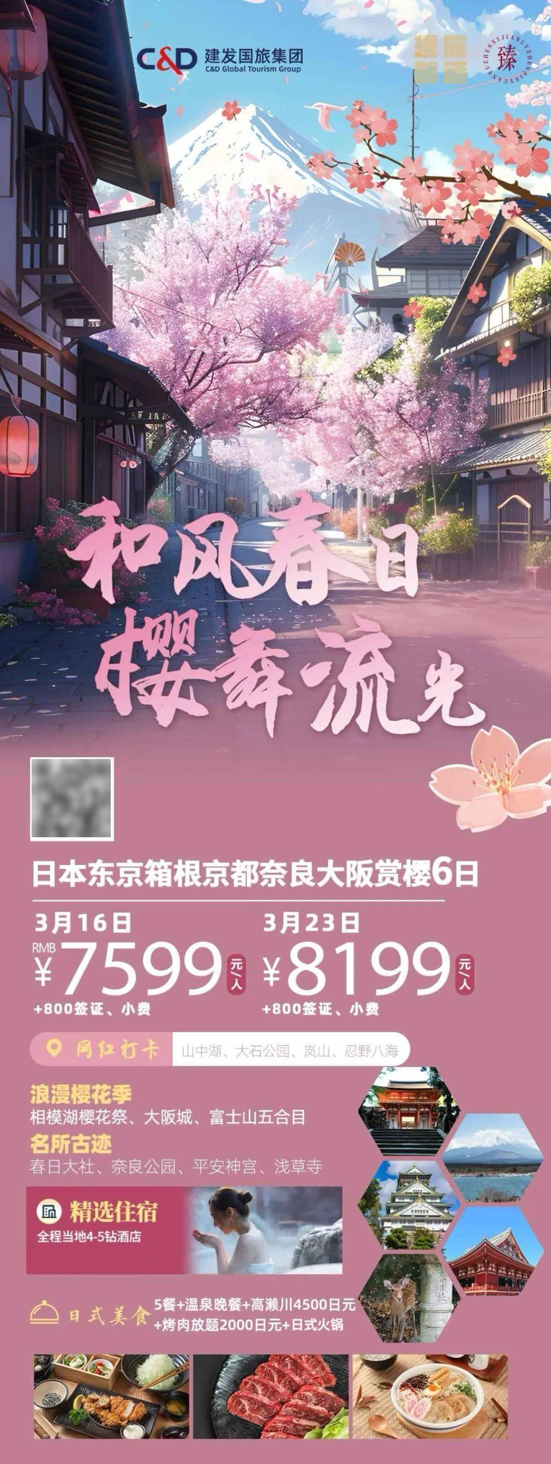 日本樱花在新赛季取胜，备战工作势在必行